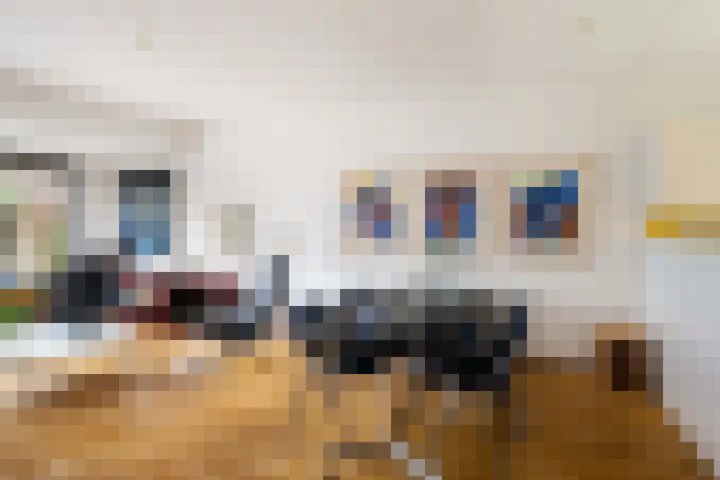 IJsdans 25 Capelle aan den IJssel thumbnail 6