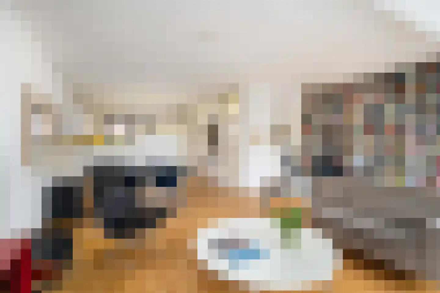 IJsdans 25 Capelle aan den IJssel thumbnail 8