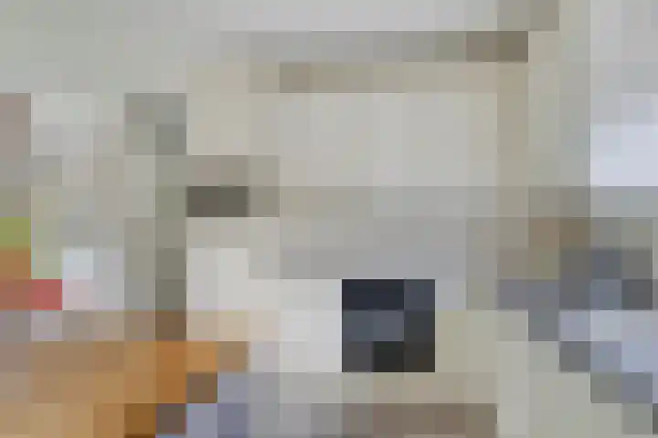 IJsdans 30 Capelle aan den IJssel thumbnail 11