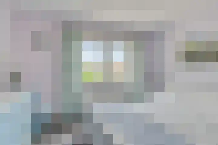 IJsdans 30 Capelle aan den IJssel thumbnail 14
