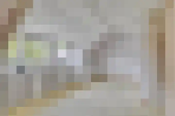 IJsdans 30 Capelle aan den IJssel thumbnail 15