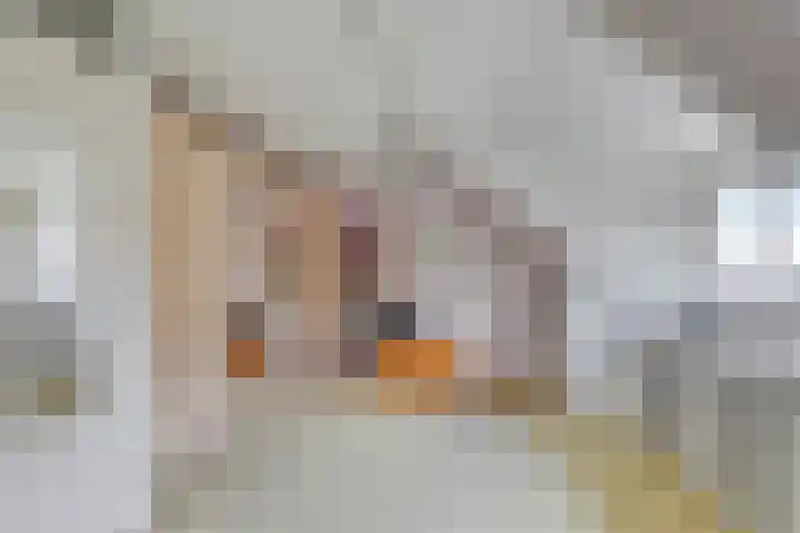 IJsdans 30 Capelle aan den IJssel thumbnail 16