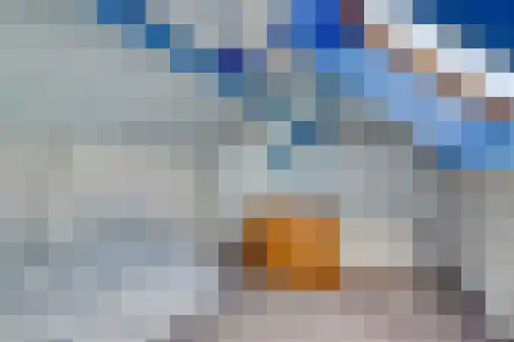 IJsdans 30 Capelle aan den IJssel thumbnail 20