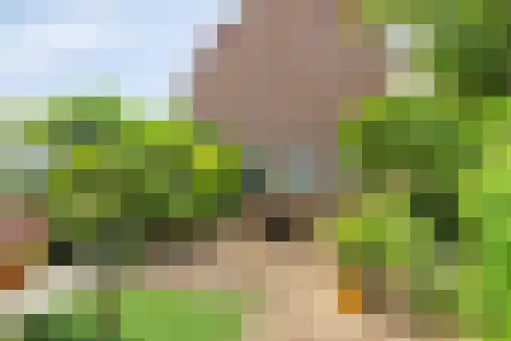 IJsdans 30 Capelle aan den IJssel thumbnail 21