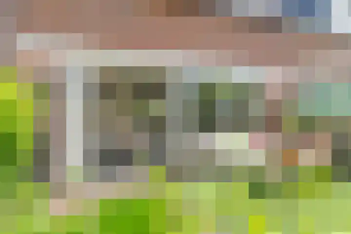 IJsdans 30 Capelle aan den IJssel thumbnail 22