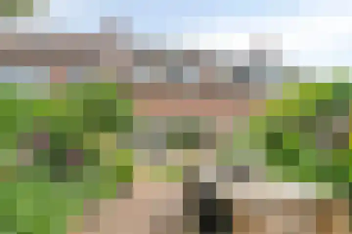 IJsdans 30 Capelle aan den IJssel thumbnail 23