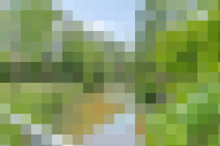 IJsdans 30 Capelle aan den IJssel thumbnail 28