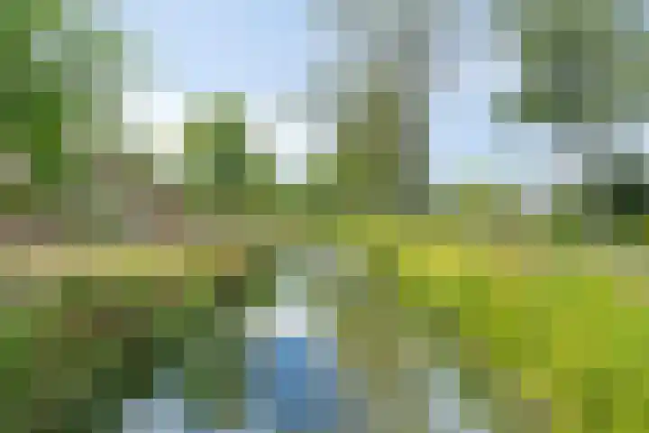 IJsdans 30 Capelle aan den IJssel thumbnail 29