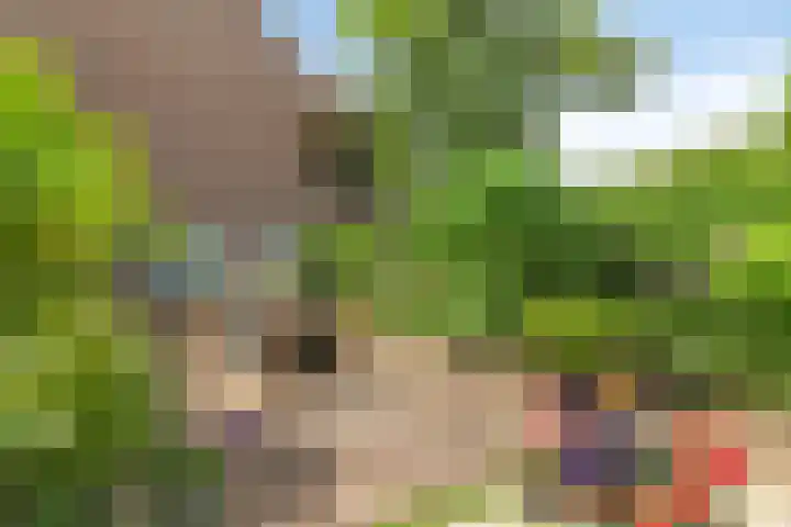 IJsdans 30 Capelle aan den IJssel thumbnail 4