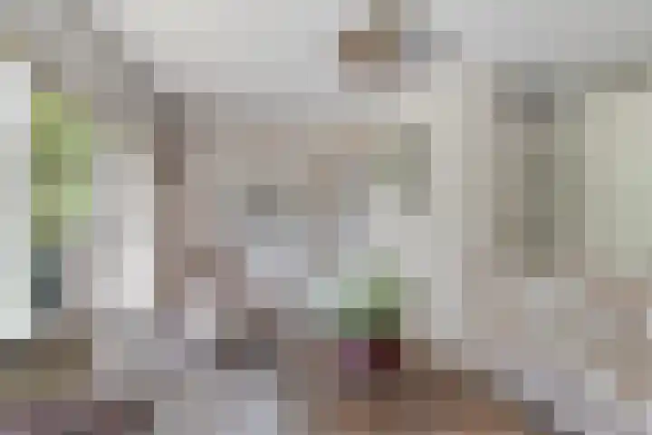 IJsdans 30 Capelle aan den IJssel thumbnail 7