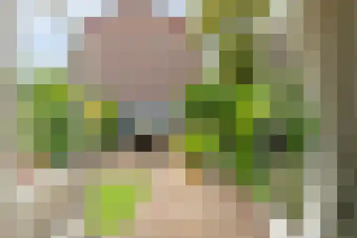 IJsdans 30 Capelle aan den IJssel thumbnail 8