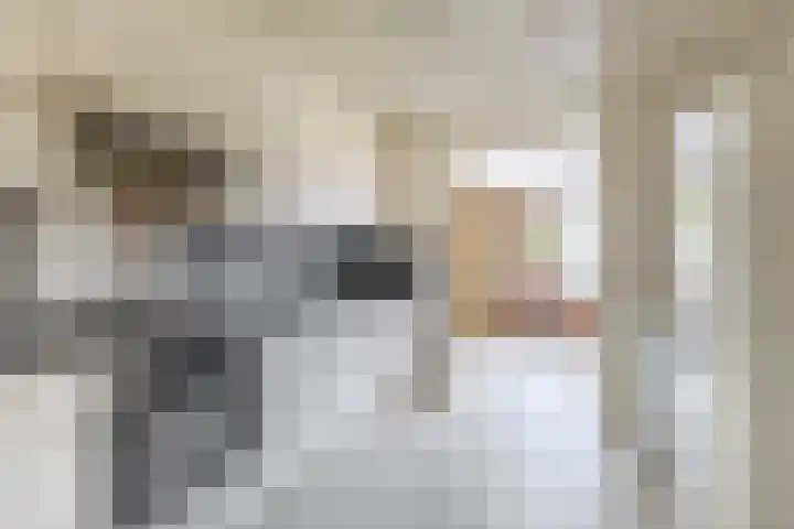 IJsduikerstraat 22 Venlo thumbnail 10