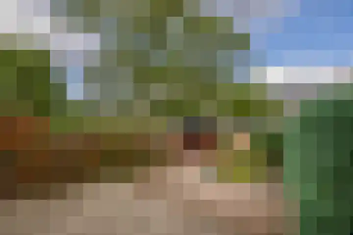 IJsduikerstraat 22 Venlo thumbnail 25