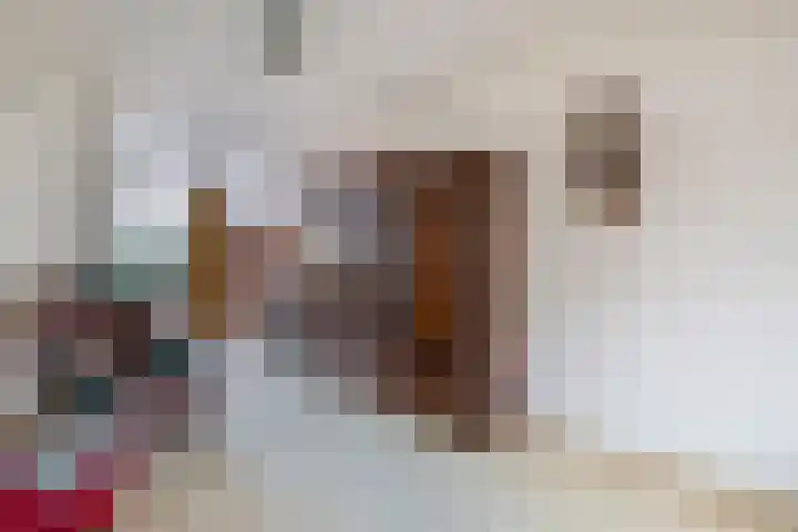 IJsduikerstraat 22 Venlo thumbnail 5