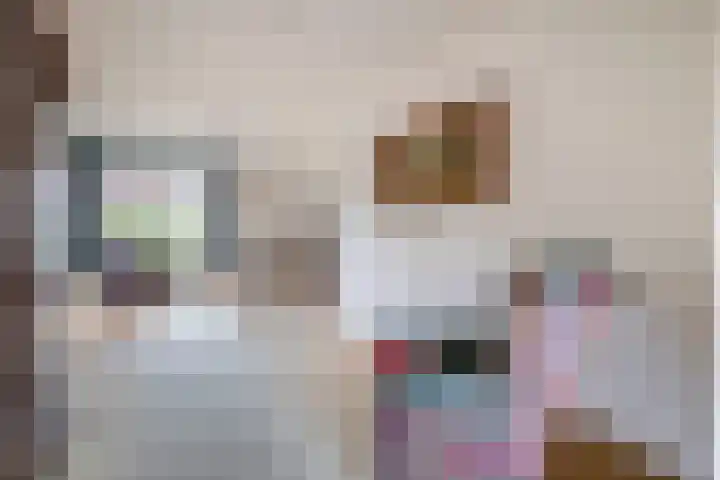 IJsduikerstraat 22 Venlo thumbnail 6