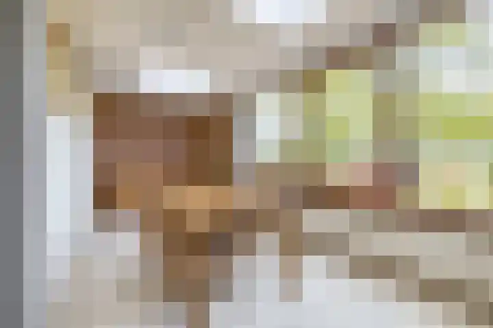 IJsduikerstraat 22 Venlo thumbnail 8