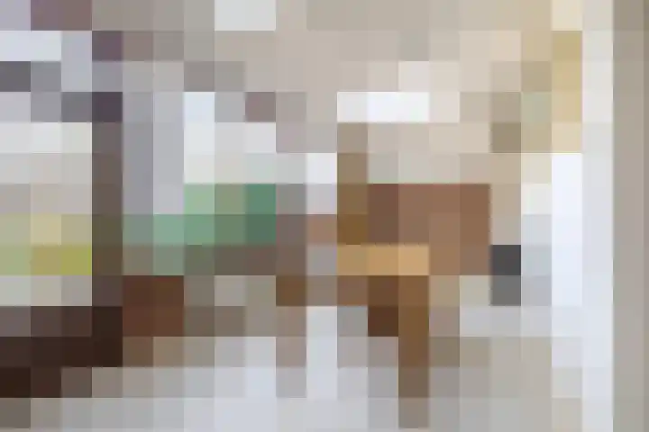 IJsduikerstraat 22 Venlo thumbnail 9