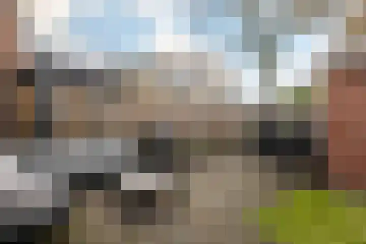 IJselstraat 151 Assen thumbnail 33