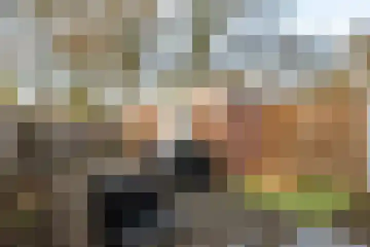 IJselstraat 151 Assen thumbnail 34