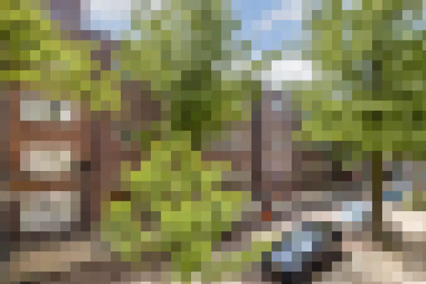 IJselstraat 44 2 Amsterdam thumbnail 6