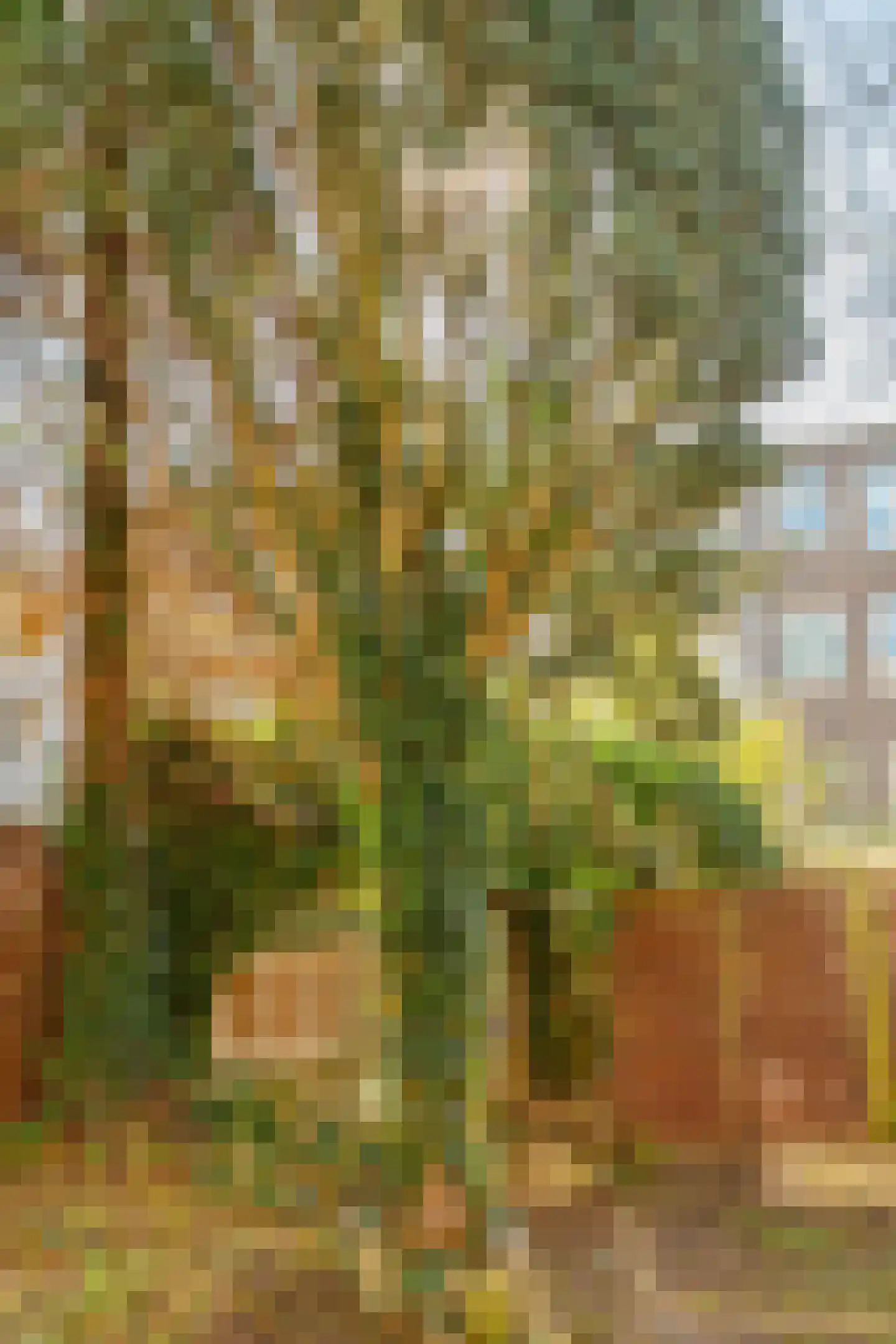 IJselstraat 89 3 Amsterdam thumbnail 37