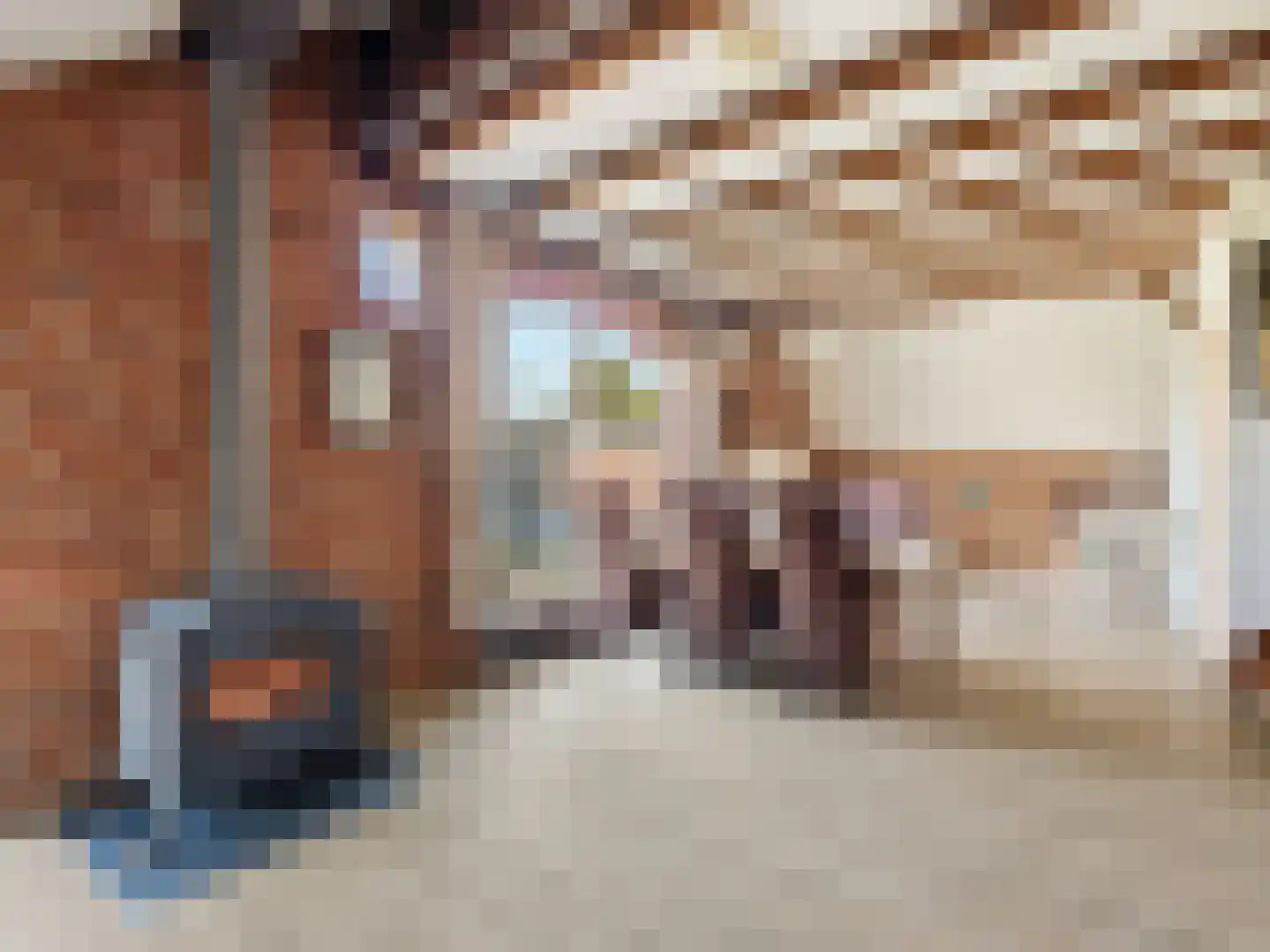 IJselweg 18 a Zutphen thumbnail 9