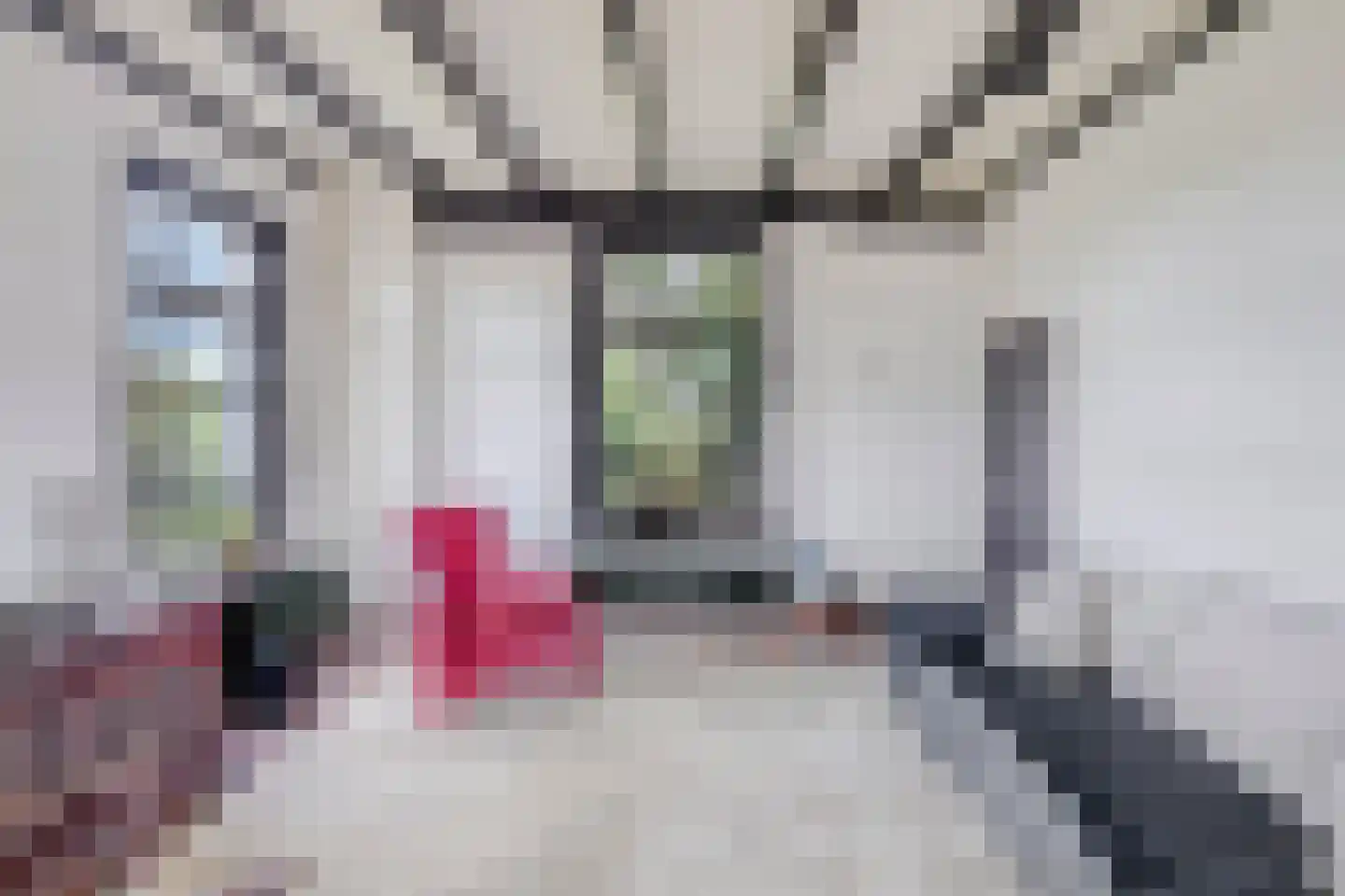 IJselweg 23 Vierakker thumbnail 10