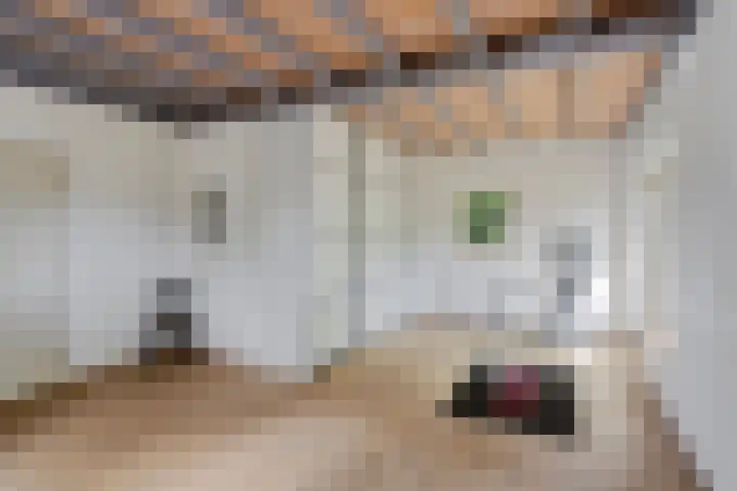 IJselweg 23 Vierakker thumbnail 17