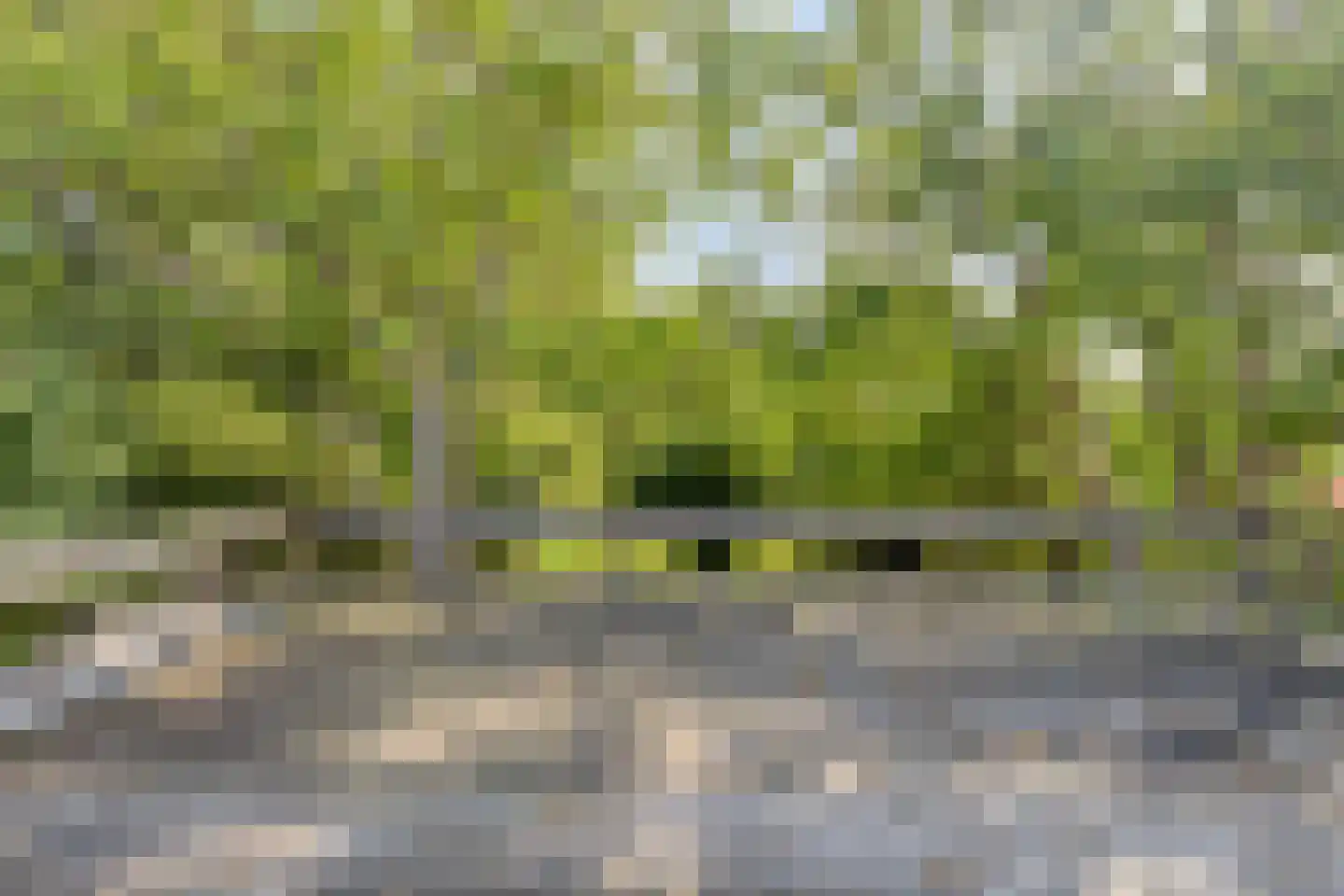 IJselweg 23 Vierakker thumbnail 30