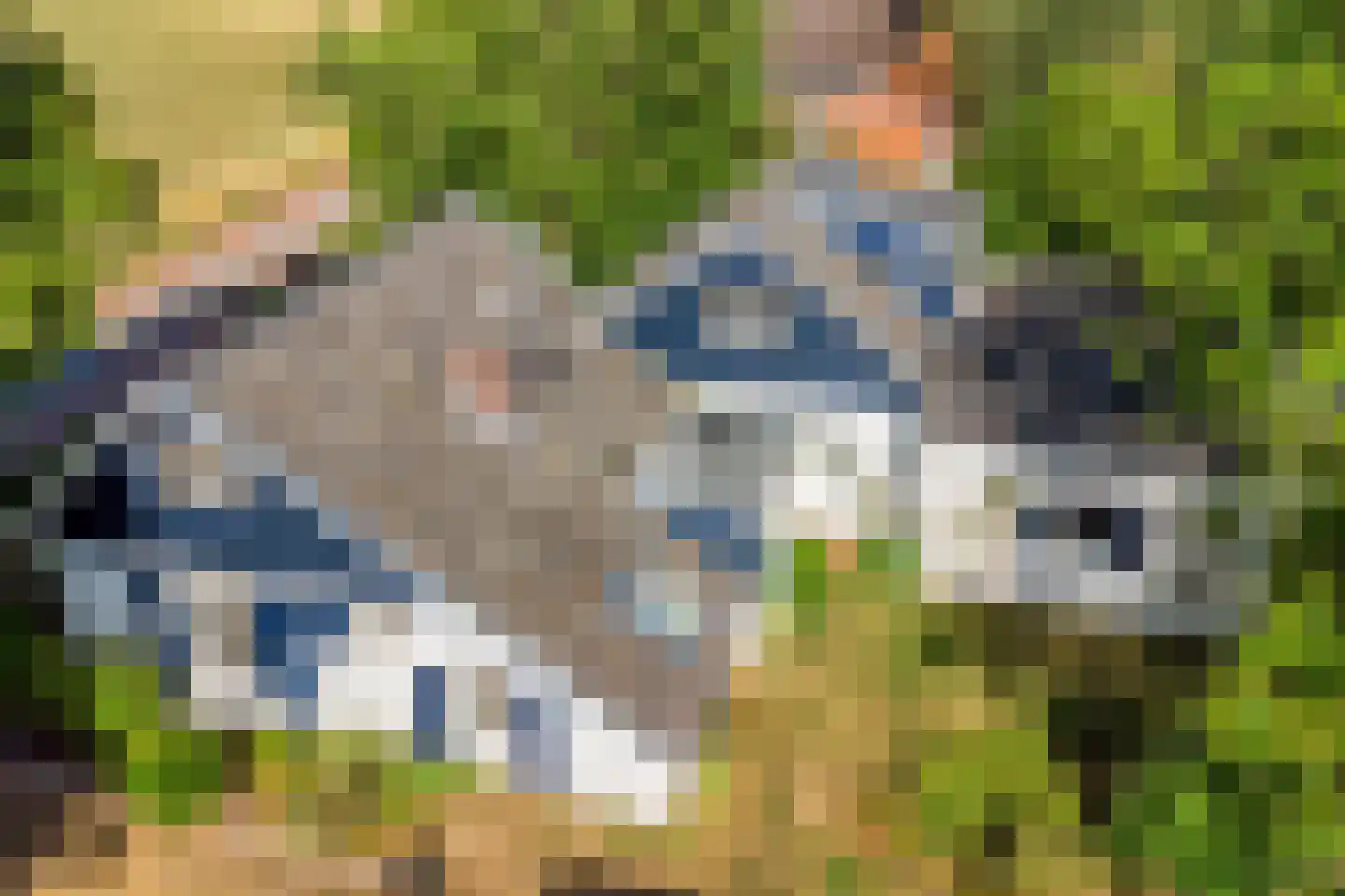 IJselweg 23 Vierakker thumbnail 33