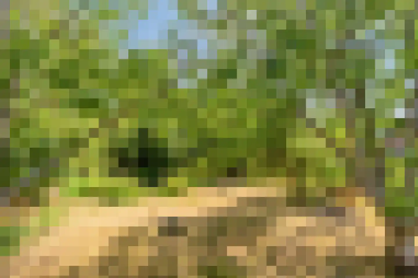 IJselweg 23 Vierakker thumbnail 34