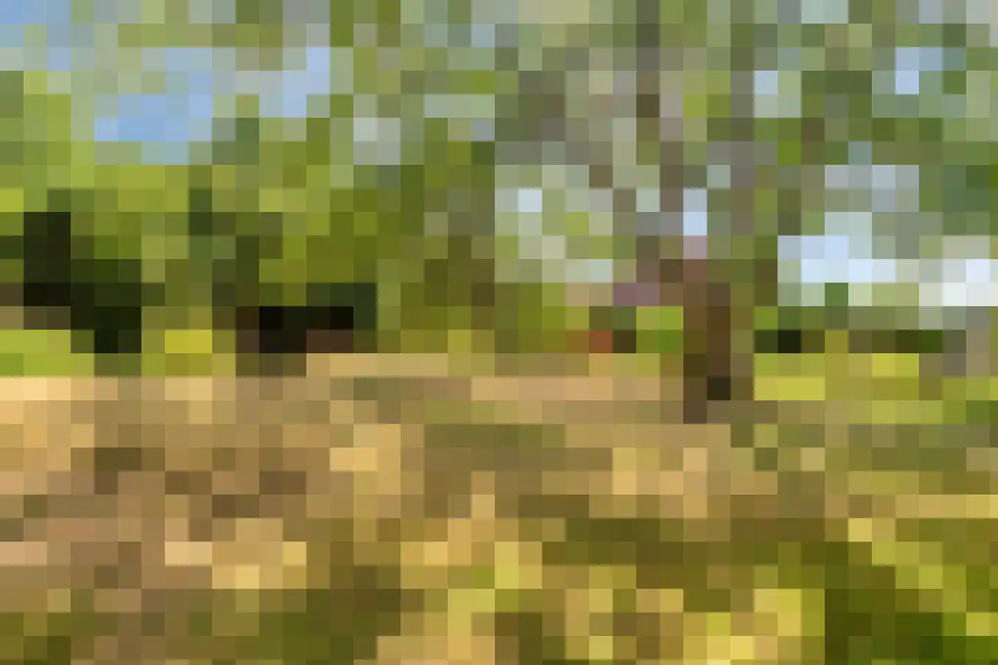 IJselweg 23 Vierakker thumbnail 37