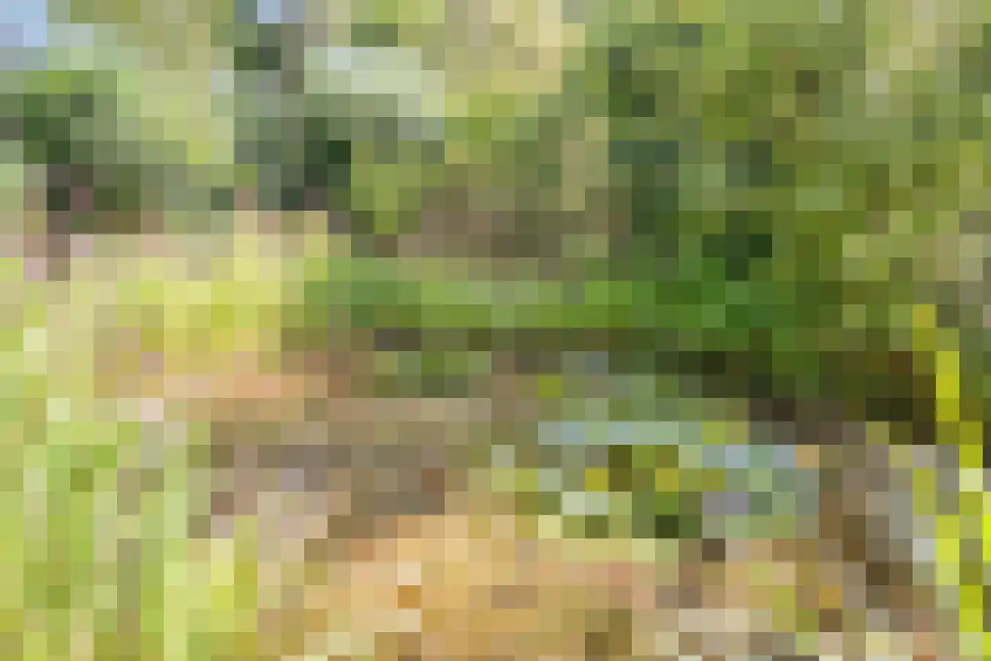 IJselweg 23 Vierakker thumbnail 38