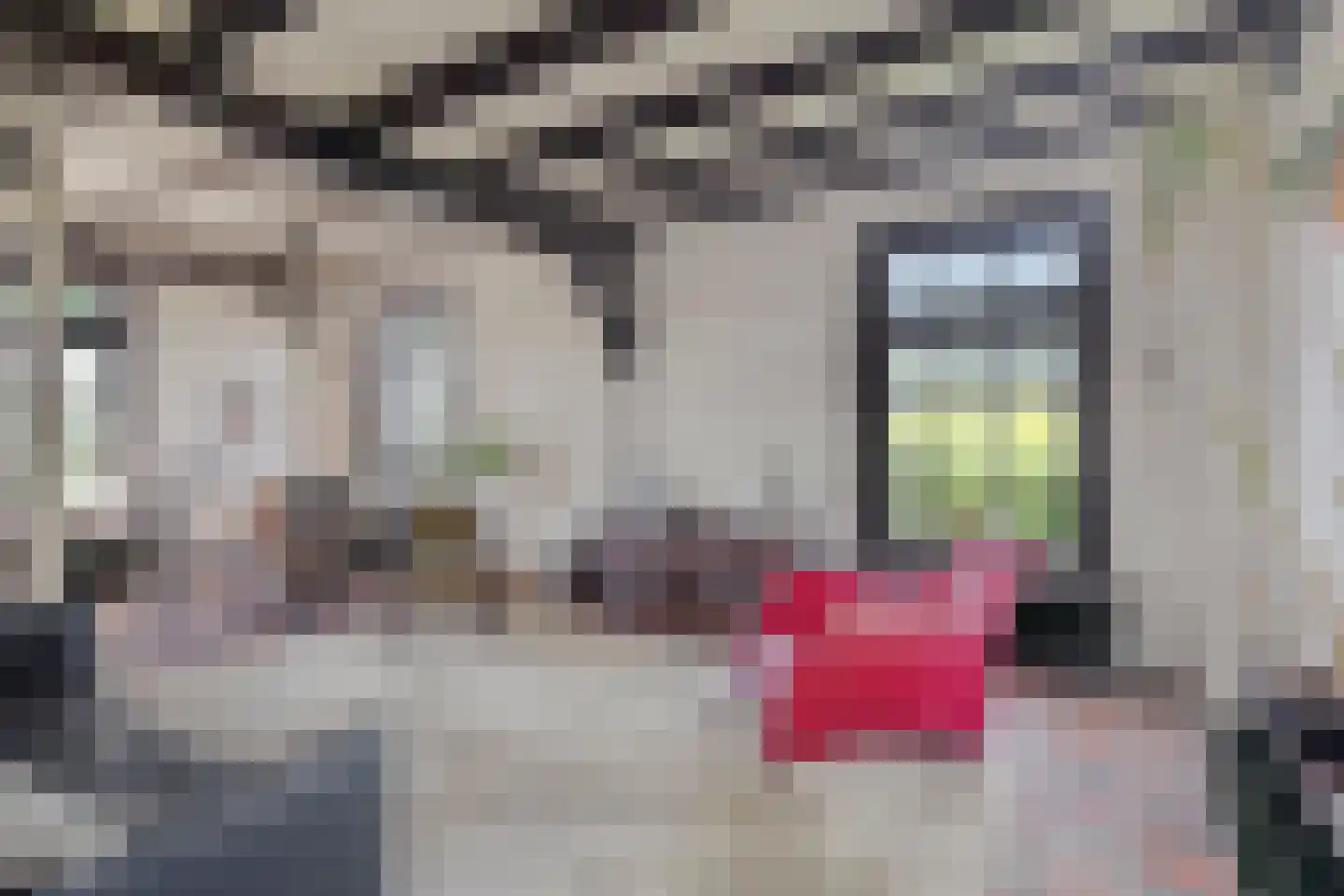 IJselweg 23 Vierakker thumbnail 4