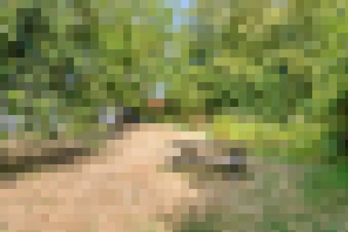 IJselweg 23 Vierakker thumbnail 40