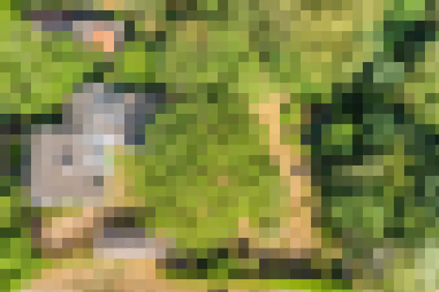 IJselweg 23 Vierakker thumbnail 43