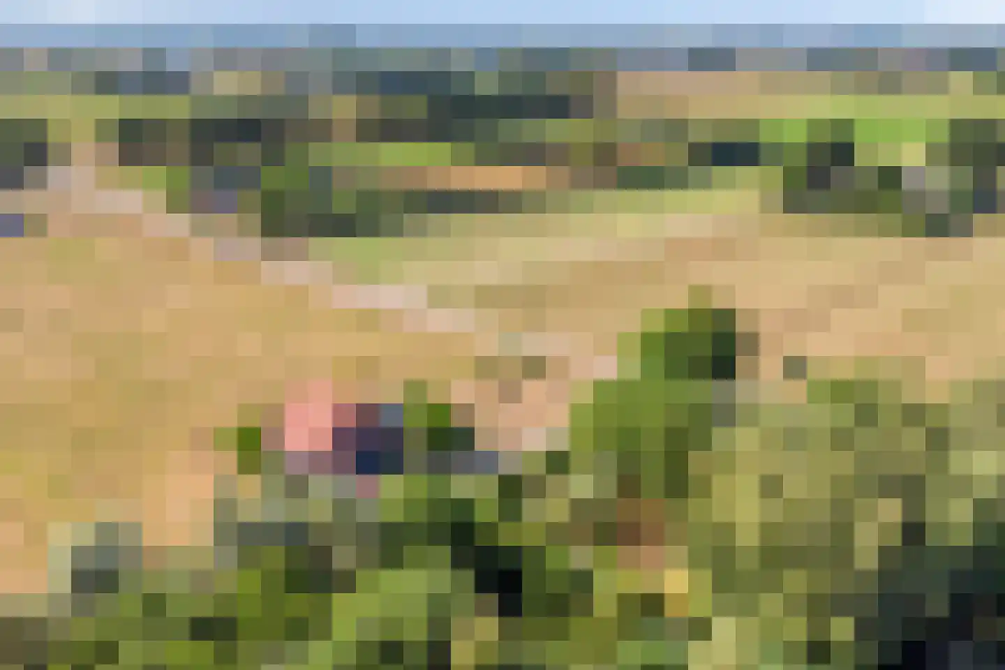 IJselweg 23 Vierakker thumbnail 46