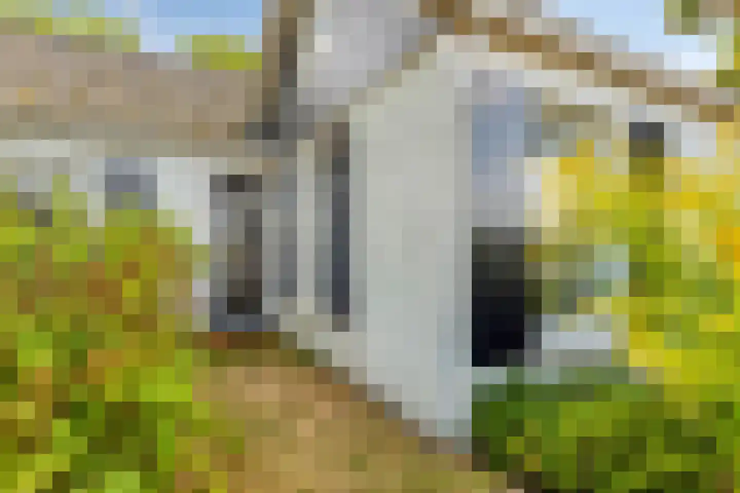 IJselweg 23 Vierakker thumbnail 6