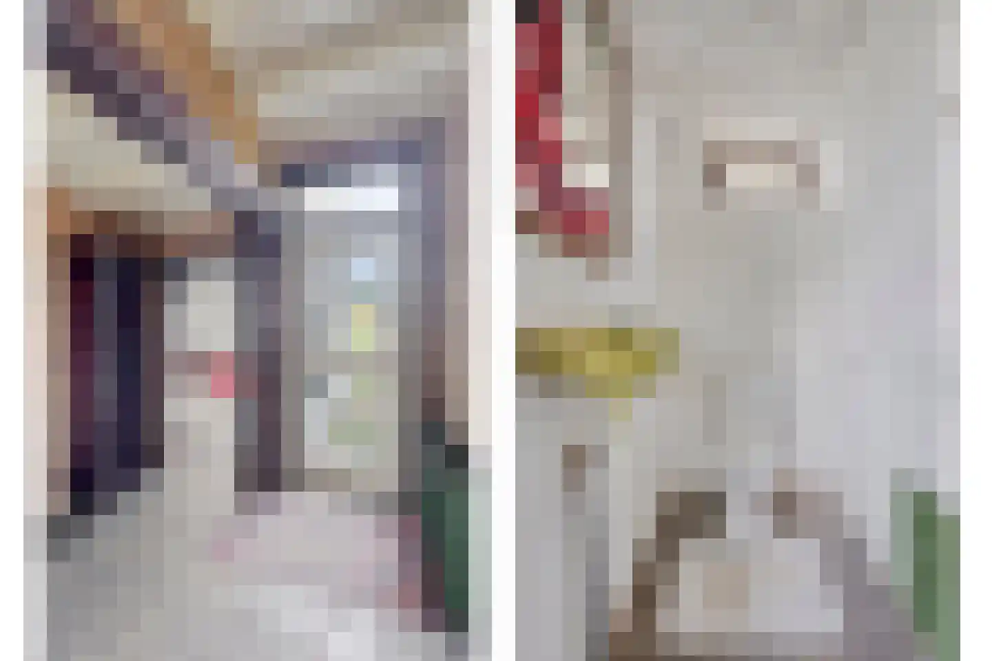 IJselweg 23 Vierakker thumbnail 8