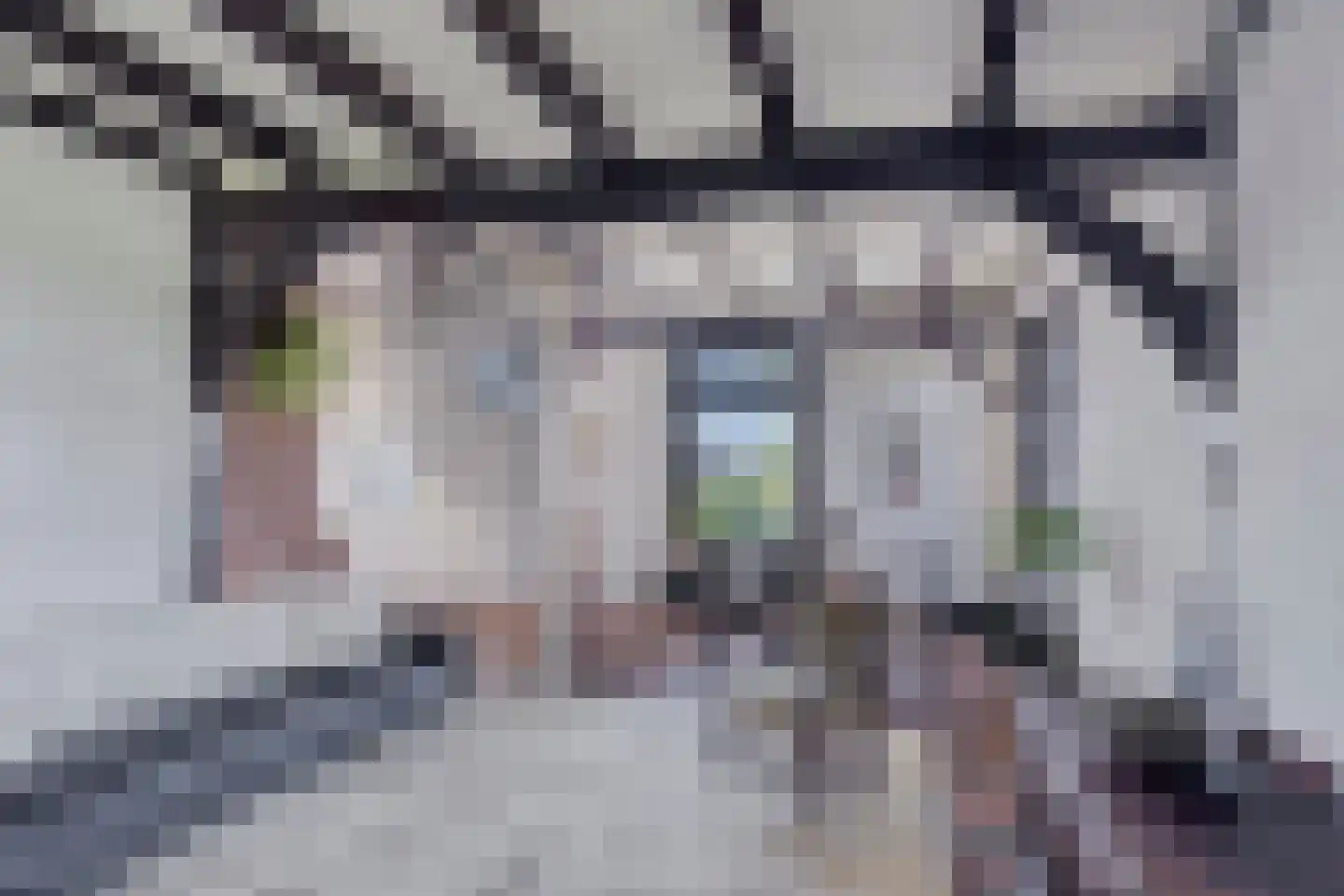 IJselweg 23 Vierakker thumbnail 9