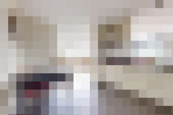 IJshof 12 Zevenbergen thumbnail 22