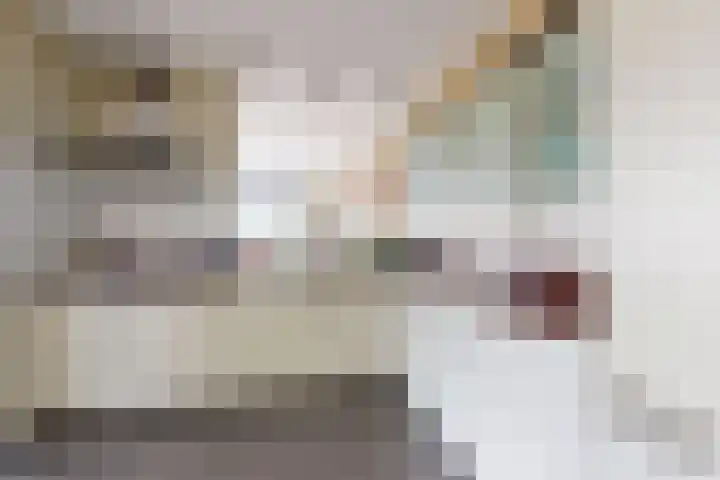 IJshof 12 Zevenbergen thumbnail 24