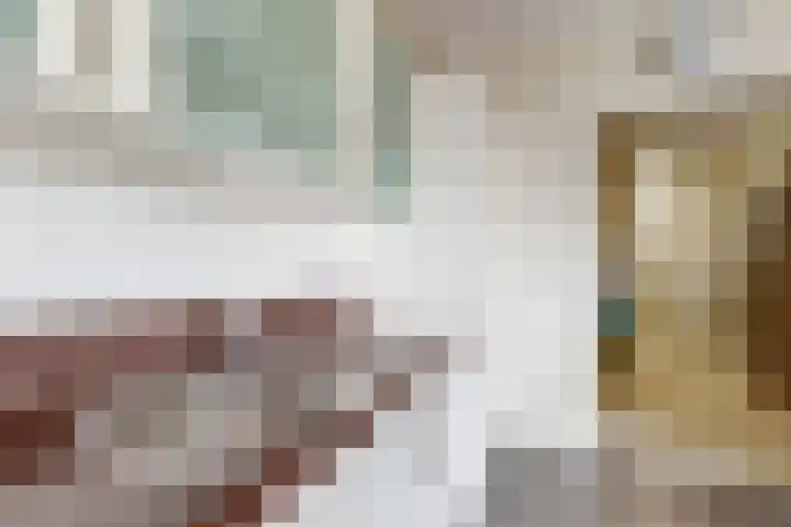 IJshof 12 Zevenbergen thumbnail 25
