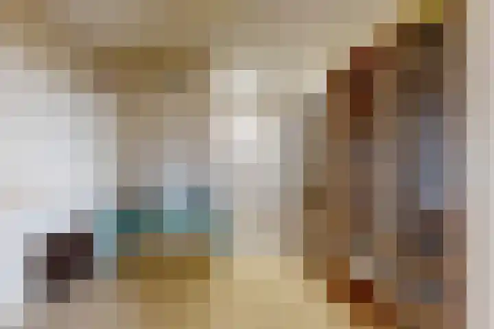 IJshof 12 Zevenbergen thumbnail 26