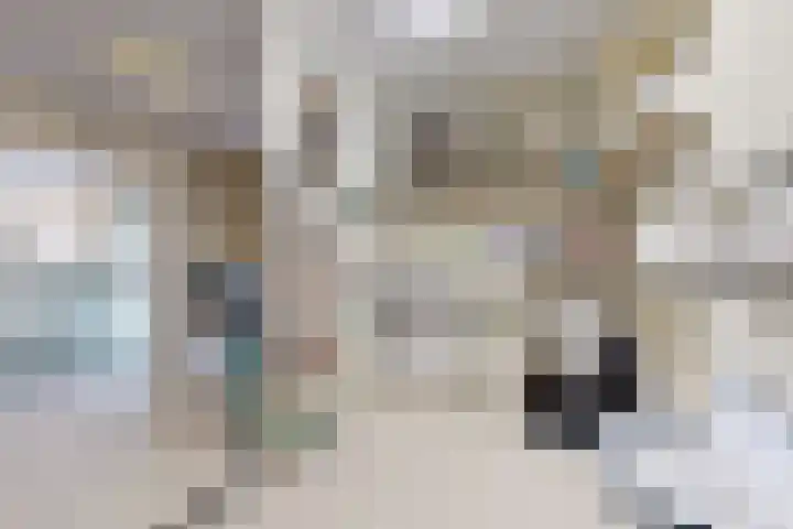 IJshof 12 Zevenbergen thumbnail 28