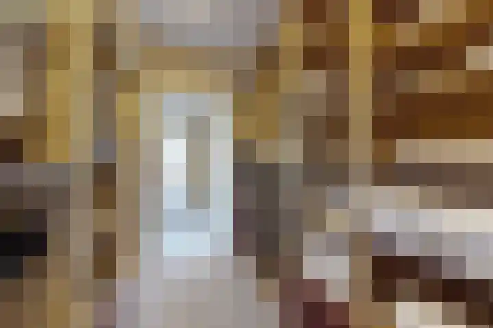 IJshof 12 Zevenbergen thumbnail 30