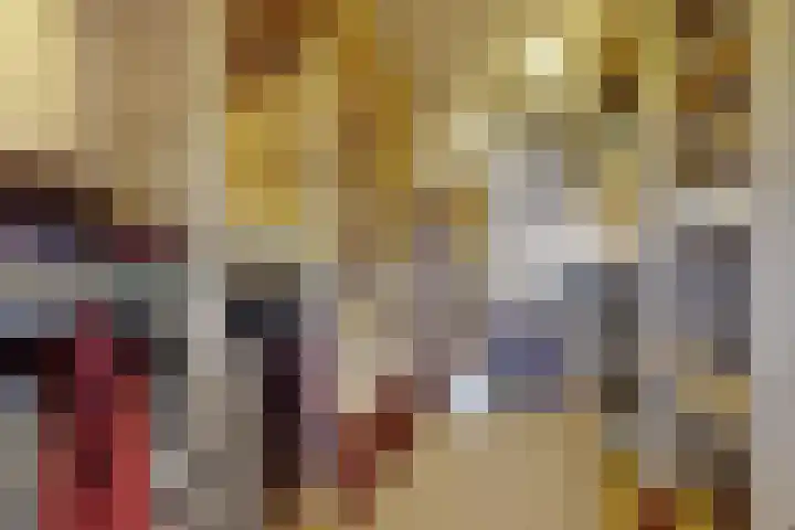 IJshof 12 Zevenbergen thumbnail 31