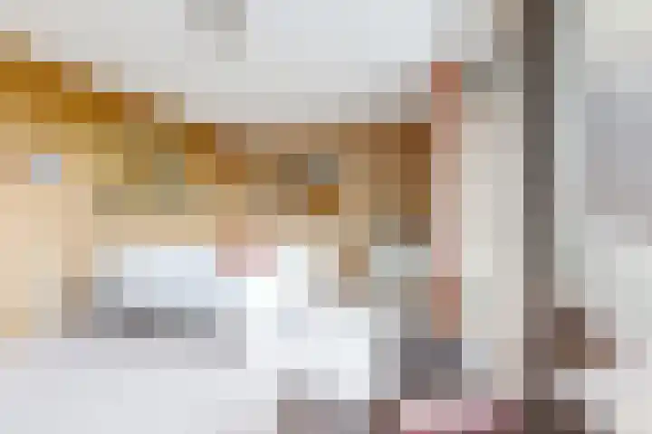IJshof 12 Zevenbergen thumbnail 33