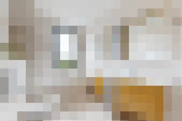 IJshof 12 Zevenbergen thumbnail 36