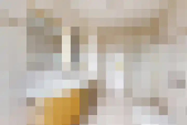 IJshof 12 Zevenbergen thumbnail 37